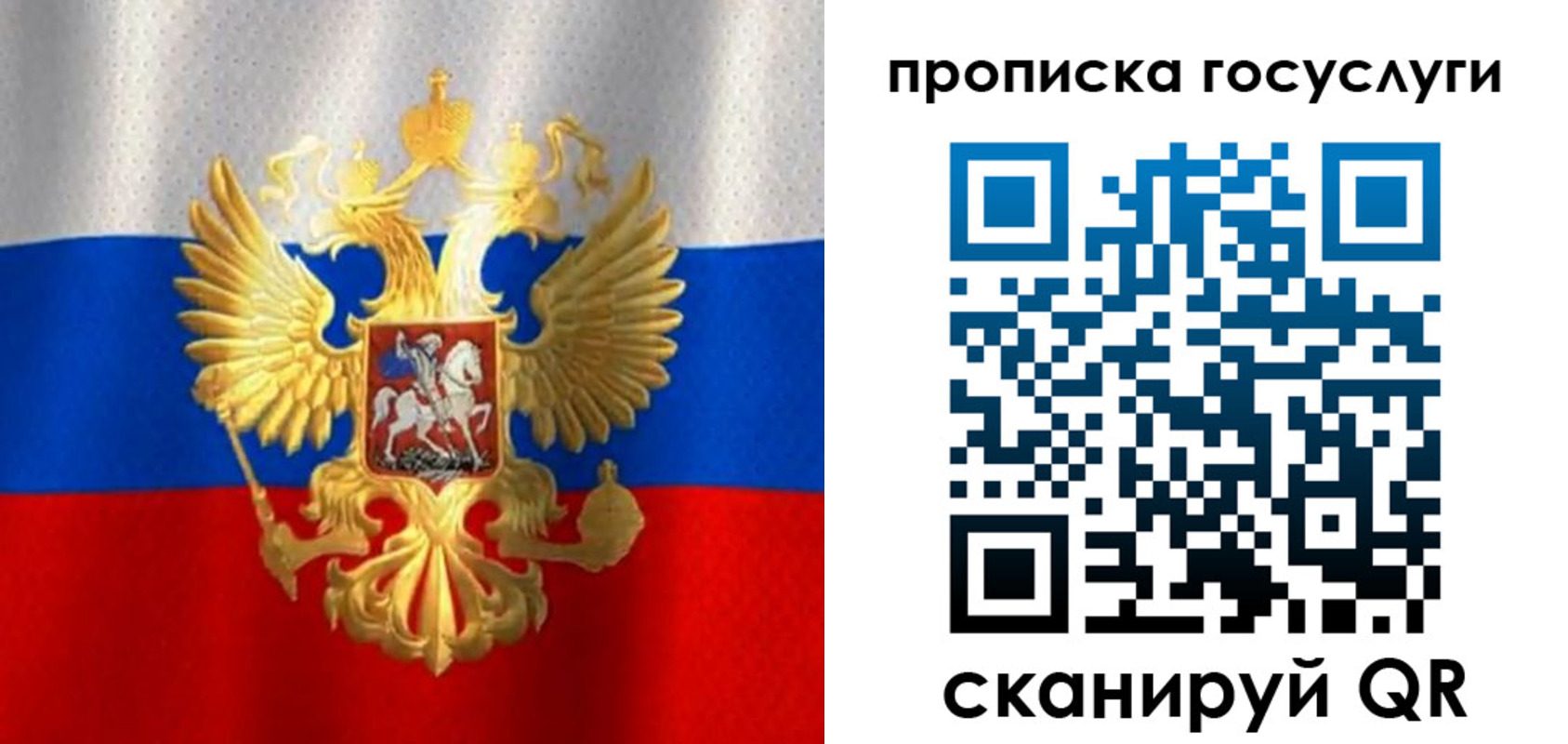 временная регистрация в Александровске